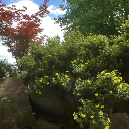 Freundliches Bei Boeblingen Апартаменты